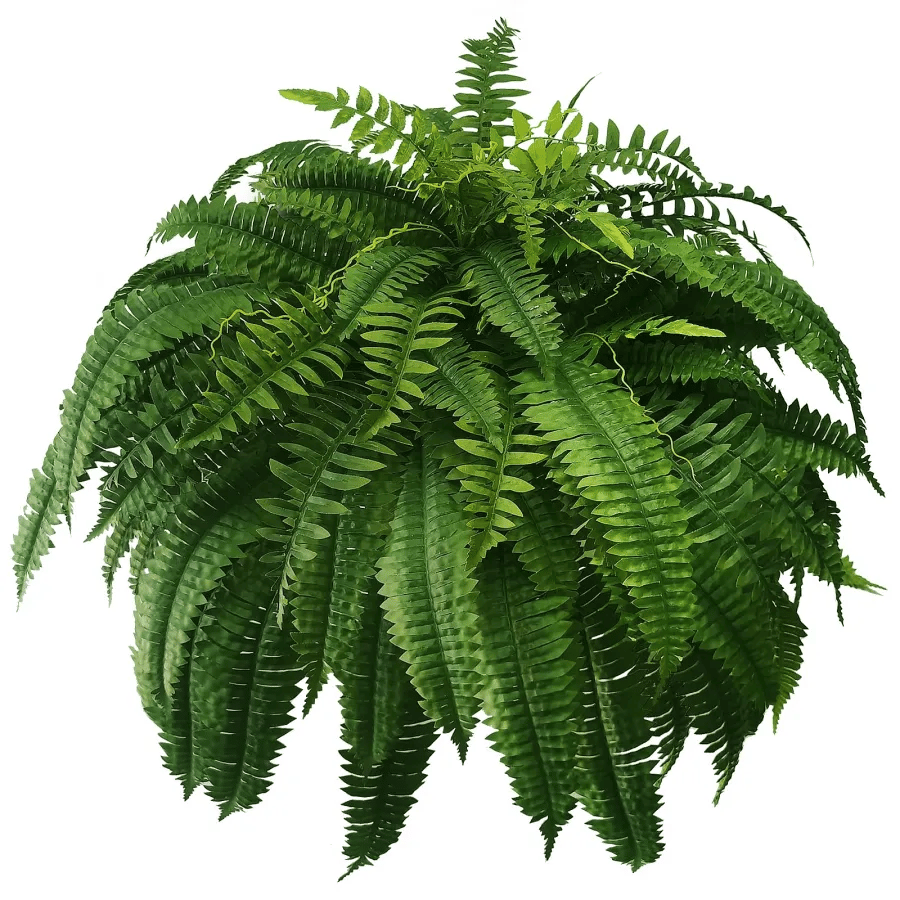 Last Day 75% OFF--UV Resistant Lifelike Artificial Boston Fern（PL）